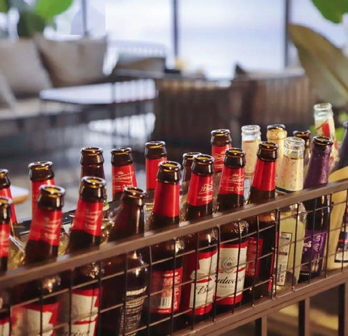 太過(guò)癮了 天津這家新晉網(wǎng)紅打卡圣地,人均10元喝過(guò)癮 阿拉伯水煙 百威啤酒 特調(diào)飲品...